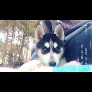 Meet your Posher, Sarah